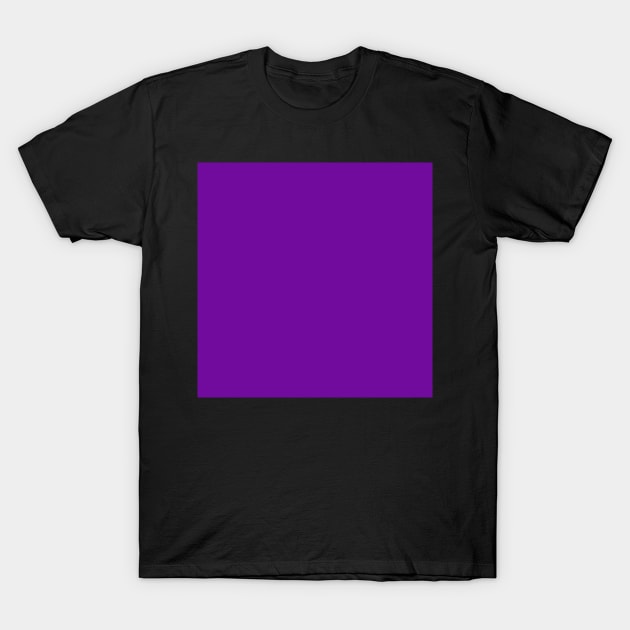 Welcoming Purple T-Shirt by taoistviking